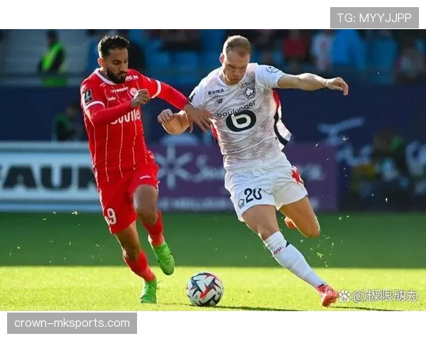 西布朗袋鼠军团再掀热潮,球迷热情点燃赛场 西布朗袋鼠军团再掀热潮,球迷热情点燃赛场