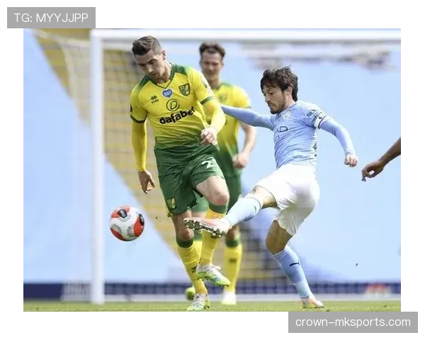 诺维奇快速回归英超